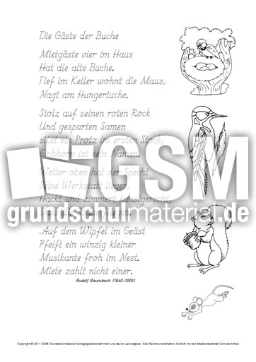 Die-Gaeste-der-Buche-Baumbach-GS.pdf